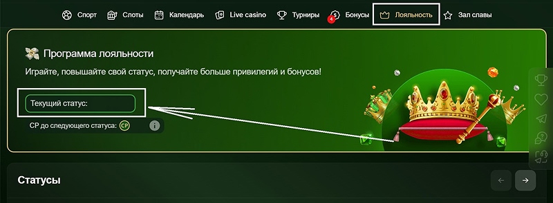 Актуальный статус аккаунта